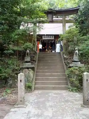 釜山神社の鳥居