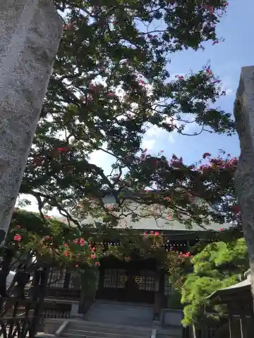 長松寺の本殿・本堂