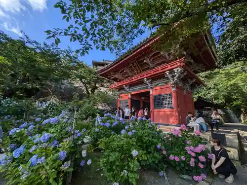 楽法寺（雨引観音）の建物その他