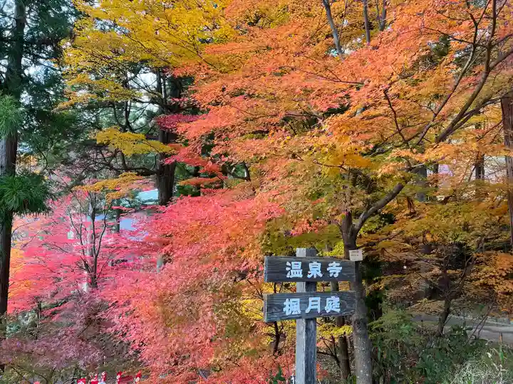 温泉寺(岐阜県)
