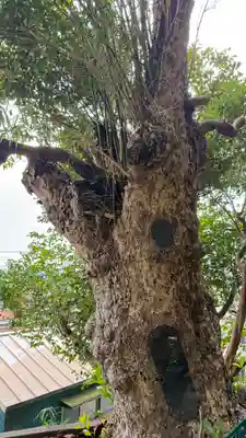 那古寺(千葉県)