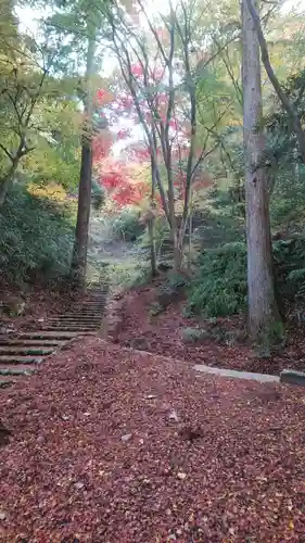 湯泉神社(兵庫県)