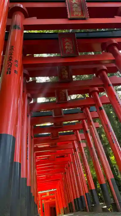 大友稲荷 奥の院の{uncategorized: "未分類", other: "その他", undefined: "問題あり", building: "その他建物", grave: "お墓", sacred_gate: "鳥居", guardian: "狛犬", statue: "像", buddha: "仏像", history: "歴史", nature: "自然", garden: "庭園", animal: "動物", pagoda: "塔", temizu: "手水舎", mountain_gate: "山門・神門", sanctuary: "本殿・本堂", subordinate: "末社・摂社", art: "芸術", scenery: "景色", jizo: "地蔵", ema: "絵馬", goshuin: "御朱印", omikuji: "おみくじ", items: "授与品その他", amulet: "お守り", goshuincho: "御朱印帳", eats: "食事", festival: "お祭り", votive_dance: "神楽", shichigosan: "七五三参", wedding: "結婚式", experience: "体験その他", initially: "初詣", around: "周辺", anti_infection: "感染症対策"}
