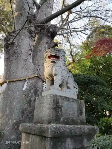 比々多神社の狛犬