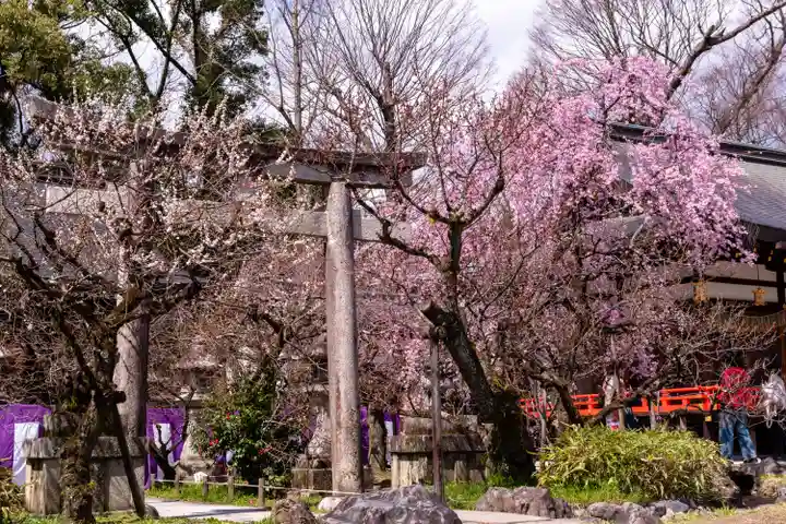 北野天満宮(京都府)