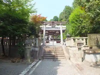 八幡神社(滋賀県)
