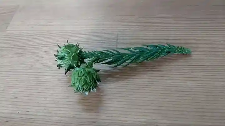 船魂神社の自然