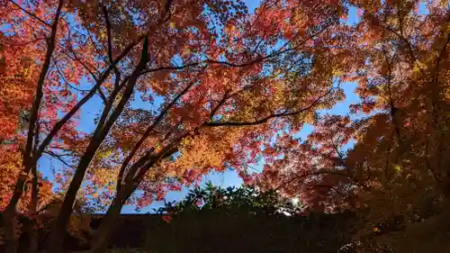 青蓮院門跡(京都府)