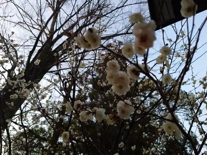 速谷神社(広島県)