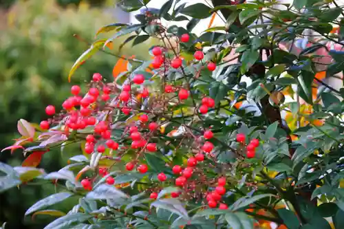 豊景神社(福島県)
