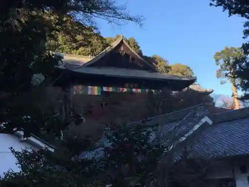 長谷寺の本殿