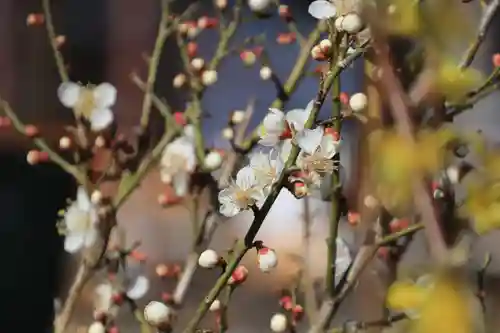 熊野福藏神社の手水舎