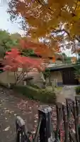 大徳寺(京都府)