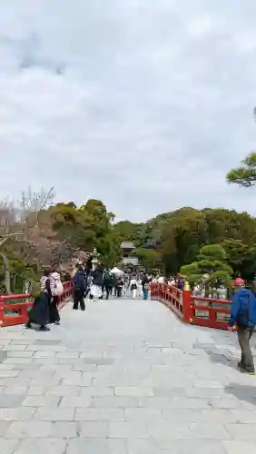 鶴岡八幡宮の{uncategorized: "未分類", other: "その他", undefined: "問題あり", building: "その他建物", grave: "お墓", sacred_gate: "鳥居", guardian: "狛犬", statue: "像", buddha: "仏像", history: "歴史", nature: "自然", garden: "庭園", animal: "動物", pagoda: "塔", temizu: "手水舎", mountain_gate: "山門・神門", sanctuary: "本殿・本堂", subordinate: "末社・摂社", art: "芸術", scenery: "景色", jizo: "地蔵", ema: "絵馬", goshuin: "御朱印", omikuji: "おみくじ", items: "授与品その他", amulet: "お守り", goshuincho: "御朱印帳", eats: "食事", festival: "お祭り", votive_dance: "神楽", shichigosan: "七五三参", wedding: "結婚式", experience: "体験その他", initially: "初詣", around: "周辺", anti_infection: "感染症対策"}