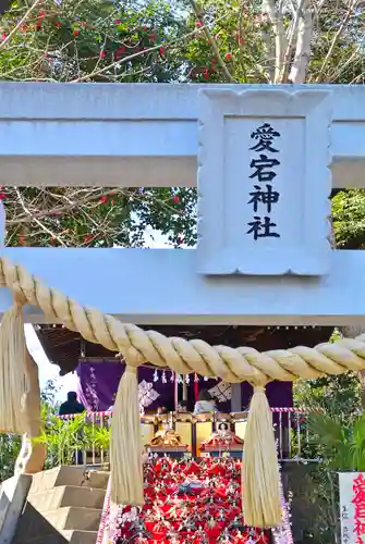 岩槻愛宕神社(埼玉県)