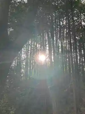 若宮八幡社(東京都)