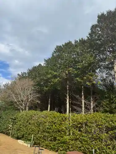 椿ノ海　水神社(千葉県)