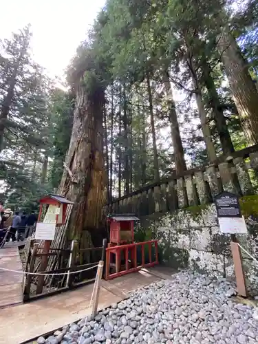 日光東照宮奥宮拝殿(栃木県)