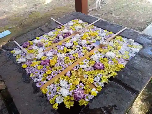 土津神社｜こどもと出世の神さまの手水