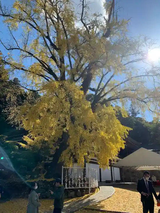 吉備津神社(岡山県)
