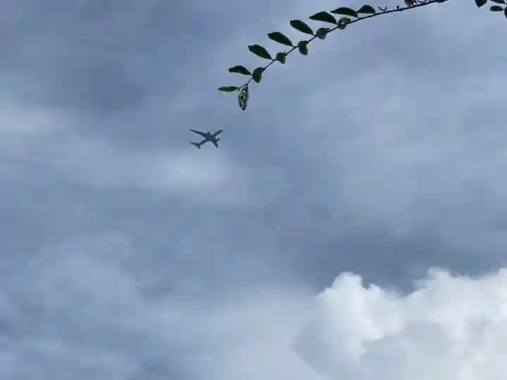 喜光寺(奈良県)