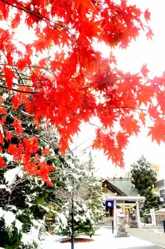烈々布神社(北海道)