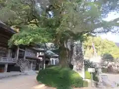 青岸渡寺(和歌山県)