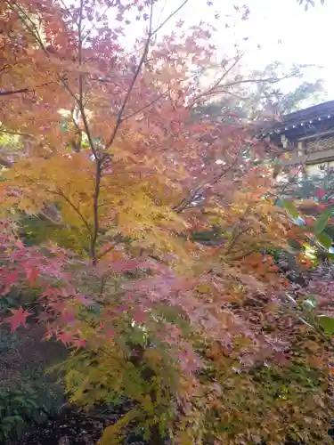 鶴岡八幡宮の自然