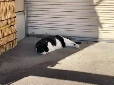 白金氷川神社(東京都)