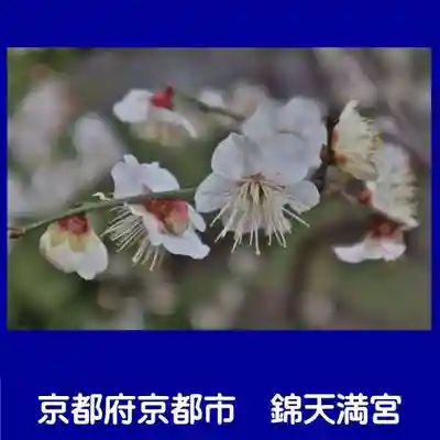 錦天満宮(京都府)