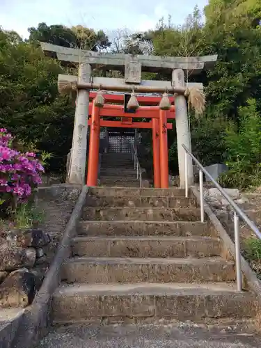 堀田稲荷神社の鳥居