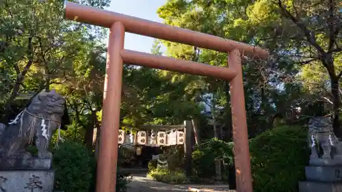 堀越神社(大阪府)