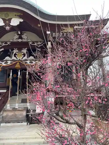 諏訪神社の自然