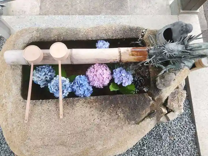 祥雲寺の手水舎
