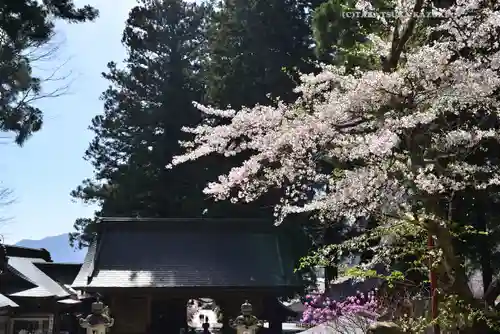 河口浅間神社(山梨県)