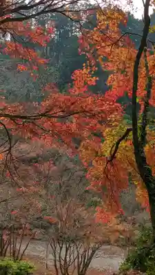 三室戸寺(京都府)
