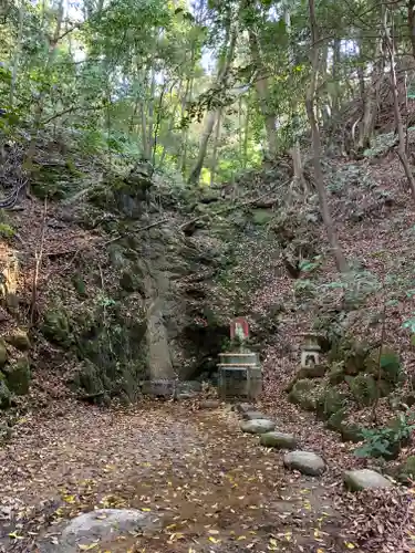 星田妙見宮の自然