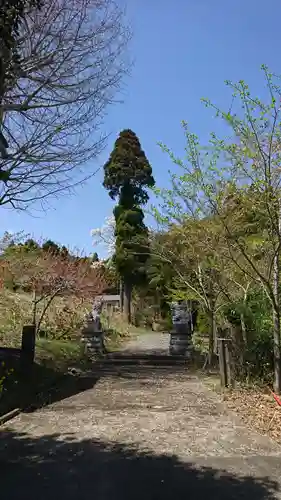 葉山神社の狛犬