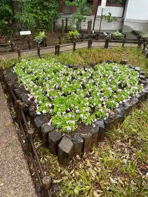 川越八幡宮(埼玉県)