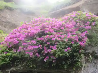 海蔵寺(神奈川県)