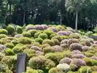 塩船観音寺(東京都)