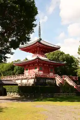大覚寺(京都府)