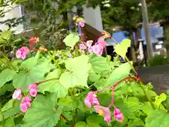 山家神社の自然