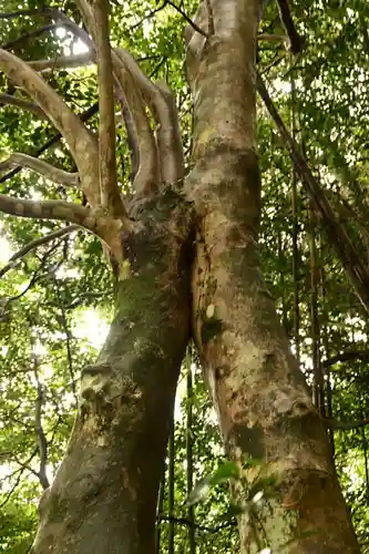 八重垣神社(島根県)