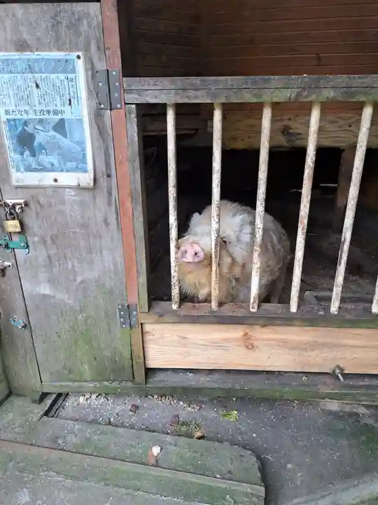 宝八幡宮(大分県)