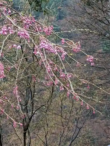 善峯寺(京都府)