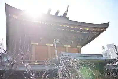 湯島天満宮の本殿・本堂