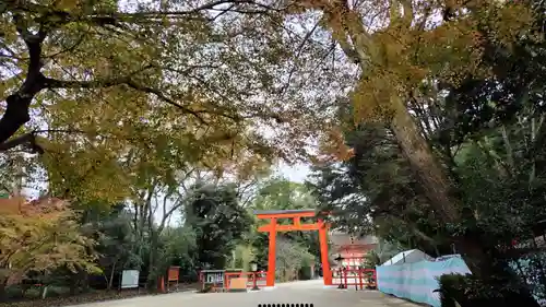 賀茂御祖神社（下鴨神社）の鳥居