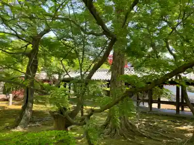 東福禅寺(東福寺)(京都府)