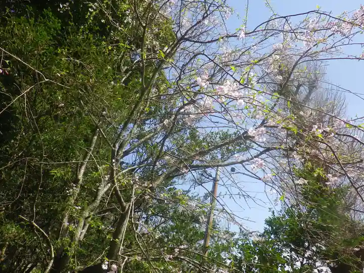 甘縄神明神社(甘縄神明宮)の自然
